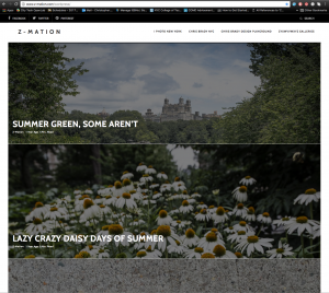 z-mation wordpress blog